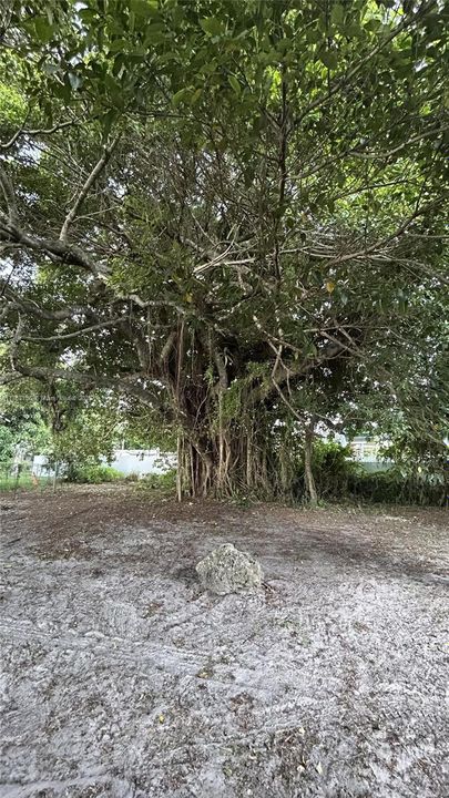 For Sale: $545,000 (3 beds, 2 baths, 1138 Square Feet)