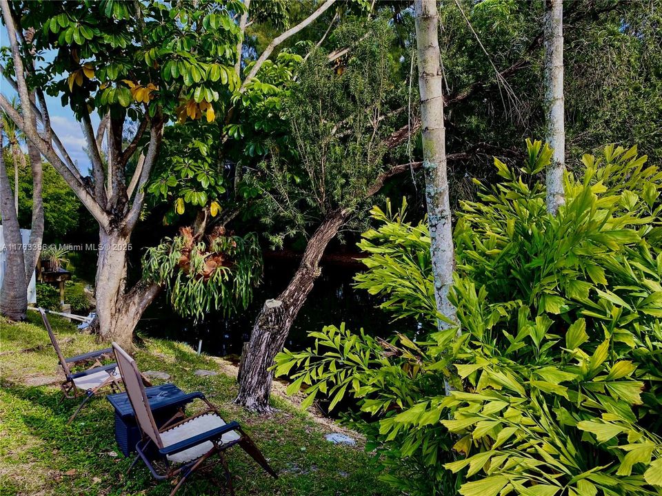 Недавно продано: $545,000 (3 спален, 2 ванн, 1432 Квадратных фут)