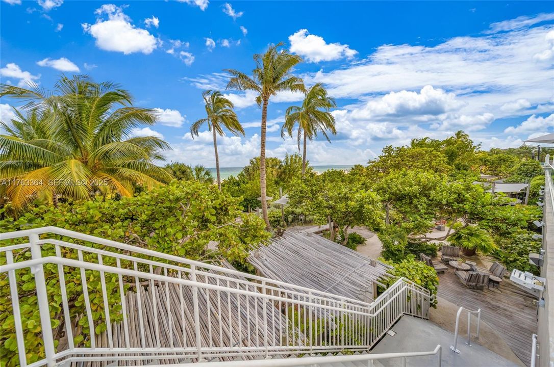 Enjoy a lush green backyard oasis just before reaching the ocean. This serene area is perfect for a refreshing walk, exercise, yoga, or simply hanging out with friends. Plus, you’ll have easy access to a chic bar, making it an ideal spot to relax and unwind.