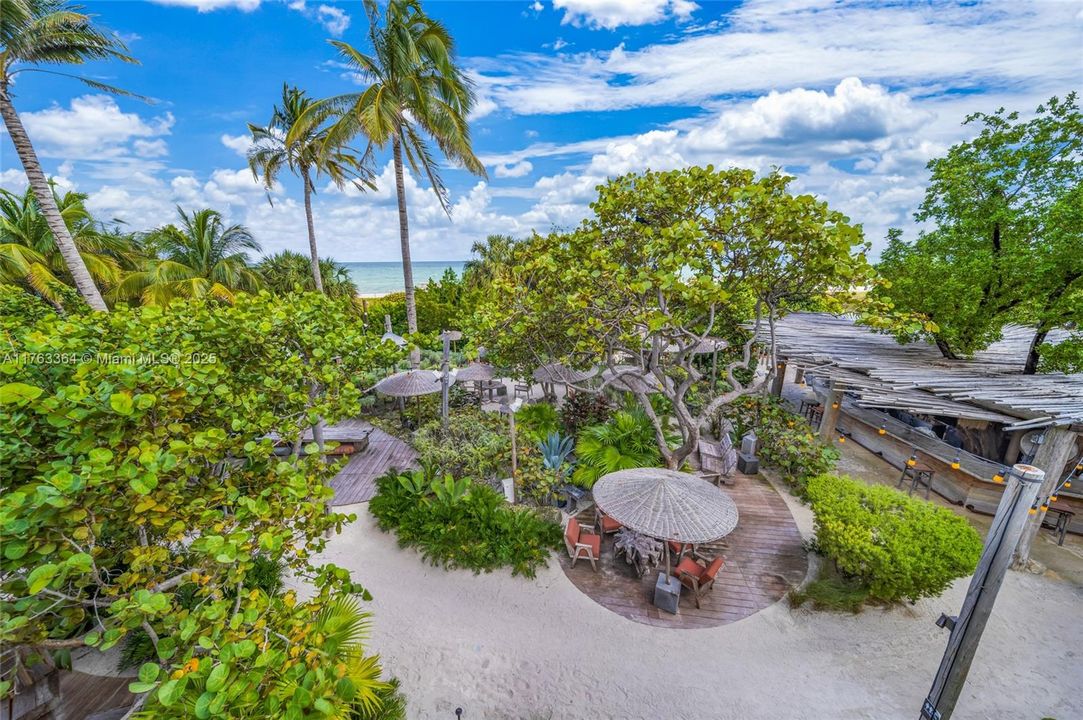 Enjoy a lush green backyard oasis just before reaching the ocean. This serene area is perfect for a refreshing walk, exercise, yoga, or simply hanging out with friends. Plus, you’ll have easy access to a chic bar, making it an ideal spot to relax and unwind.