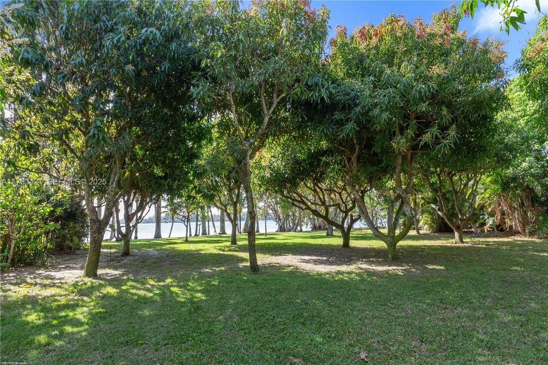 En Venta: $49,000,000 (7 camas, 6 baños, 7958 Pies cuadrados)