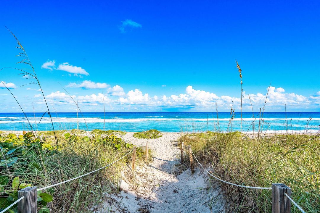 Beach Path
