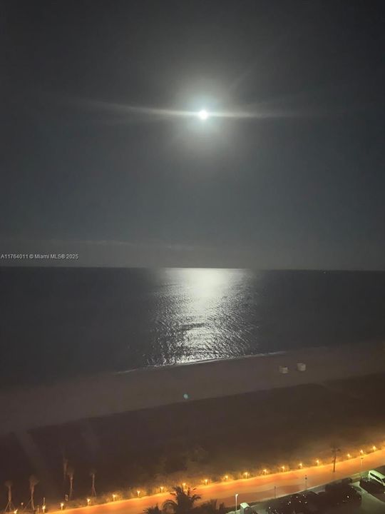 待售: $2,250,000 (2 贝兹, 2 浴室, 1556 平方英尺)