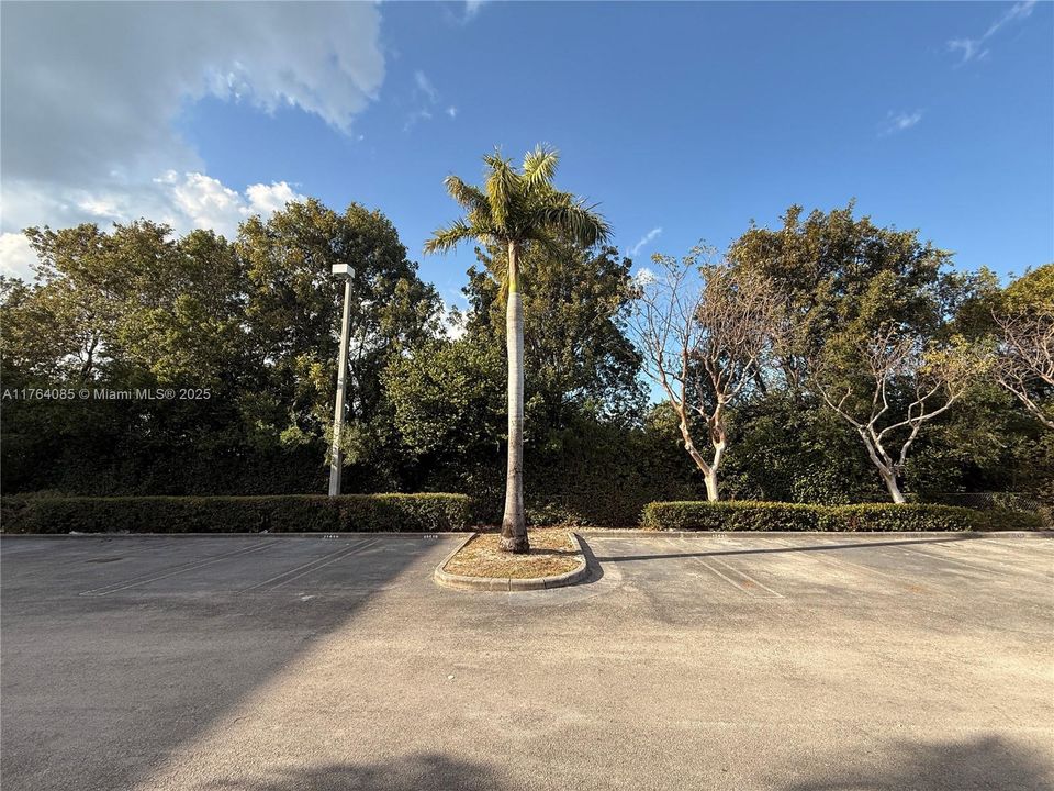 5 Reserved Parking Spots in front of the Main Entrance