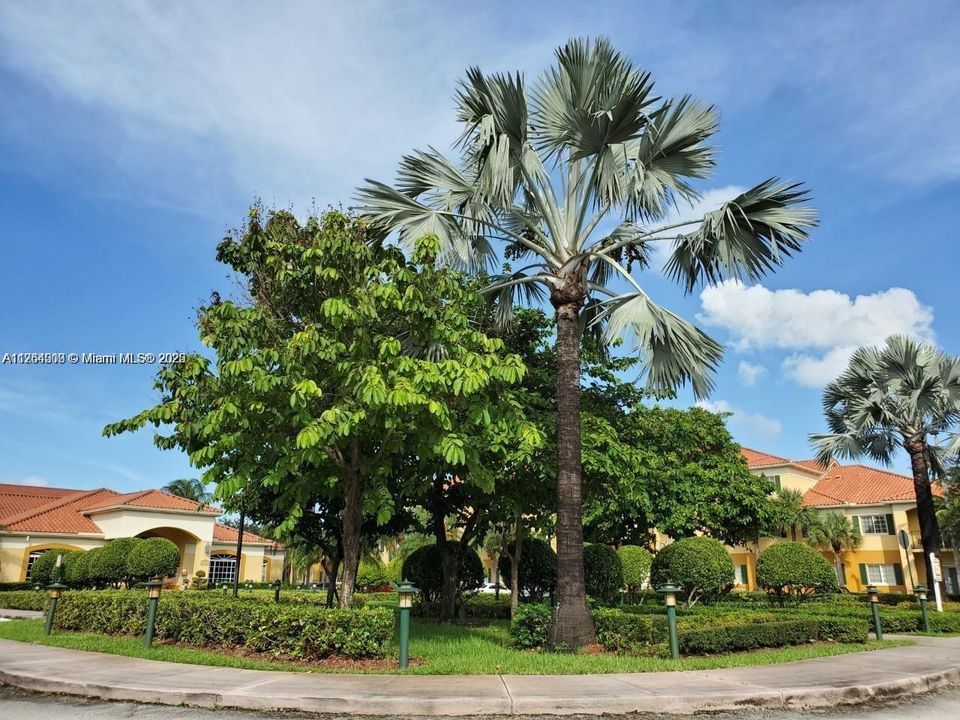 Недавно продано: $370,000 (2 спален, 2 ванн, 910 Квадратных фут)