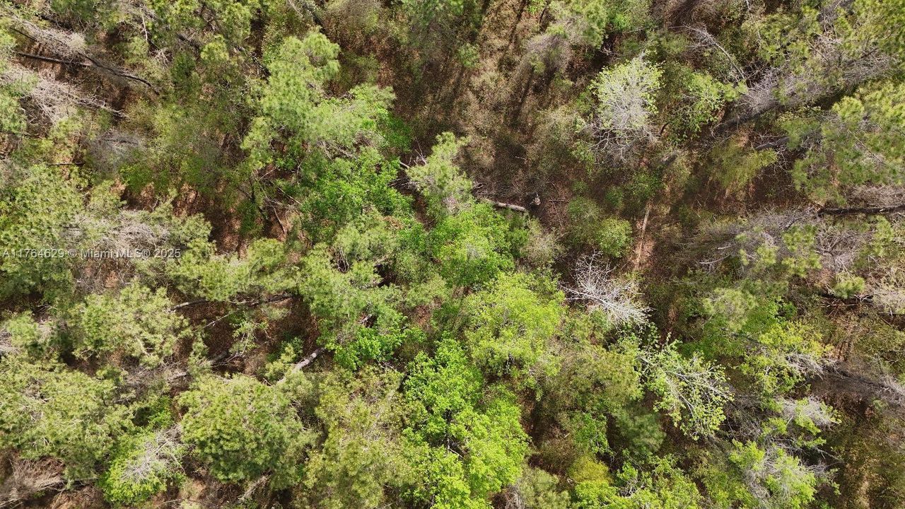 Vendido Recientemente: $99,000 (10.97 acres)