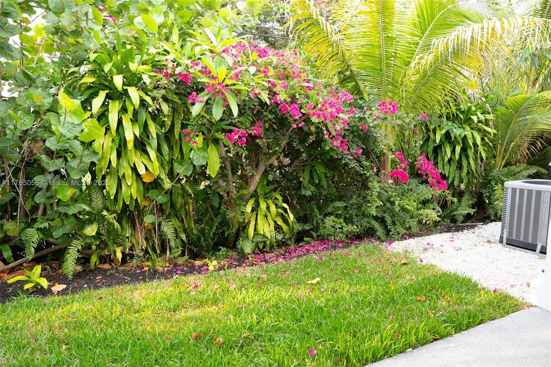 Recently Rented: $4,000 (3 beds, 2 baths, 1320 Square Feet)