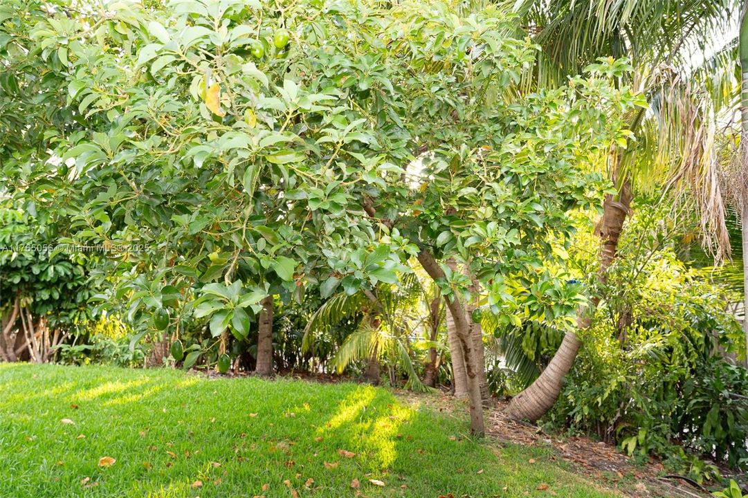 Recently Rented: $4,000 (3 beds, 2 baths, 1320 Square Feet)