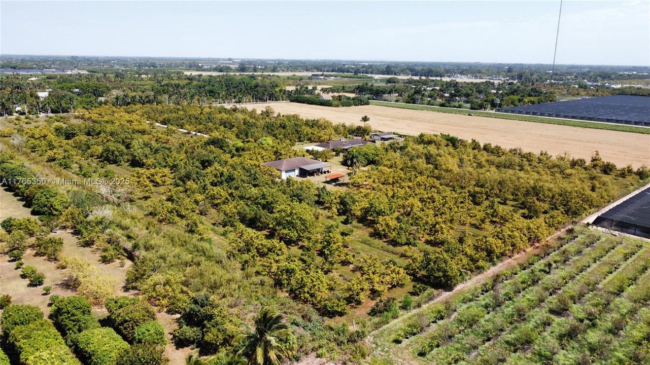 Recently Sold: $3,500,000 (6 beds, 3 baths, 2954 Square Feet)