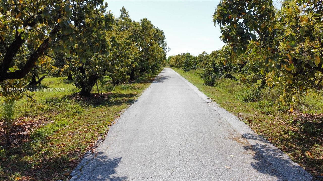 Recently Sold: $3,500,000 (6 beds, 3 baths, 2954 Square Feet)