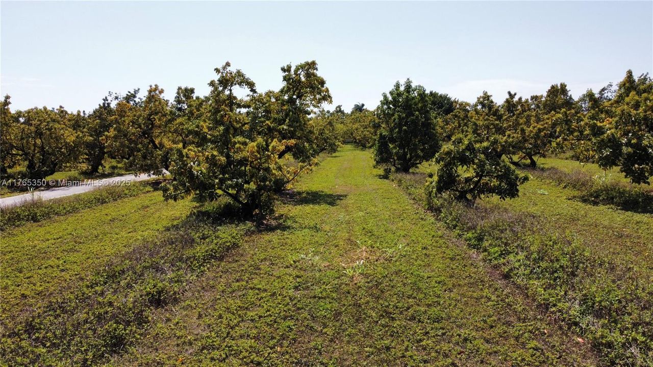 Recently Sold: $3,500,000 (6 beds, 3 baths, 2954 Square Feet)