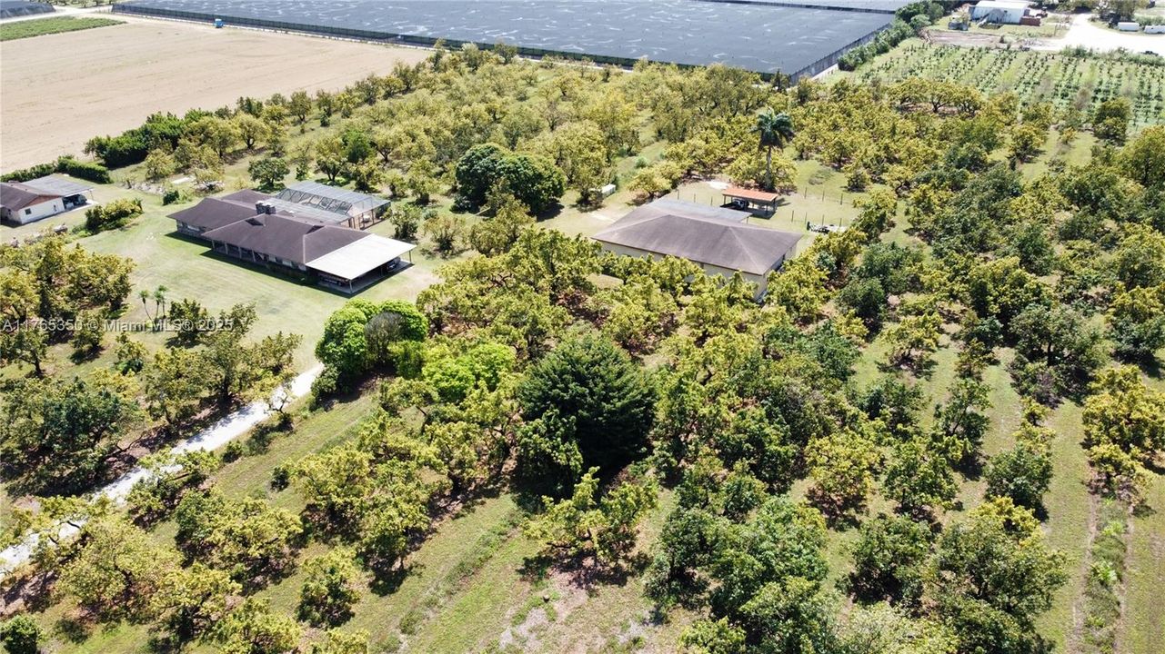 Recently Sold: $3,500,000 (6 beds, 3 baths, 2954 Square Feet)