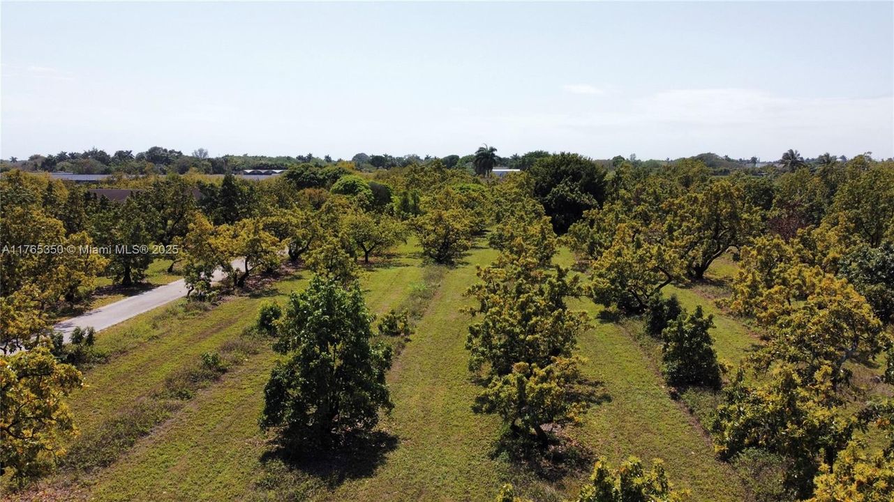 Recently Sold: $3,500,000 (6 beds, 3 baths, 2954 Square Feet)