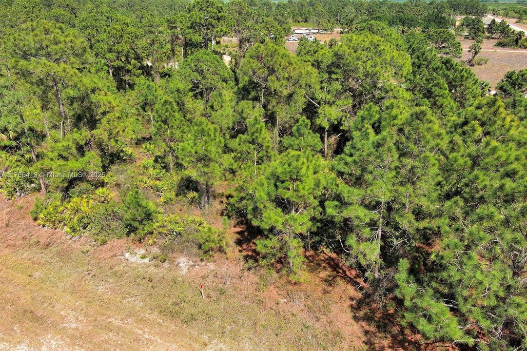 Active With Contract: $19,000 (0.23 acres)