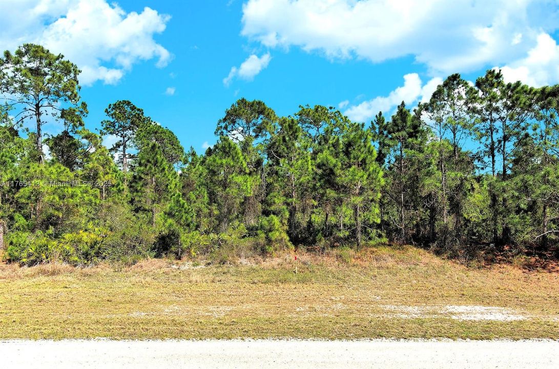 Active With Contract: $19,000 (0.23 acres)
