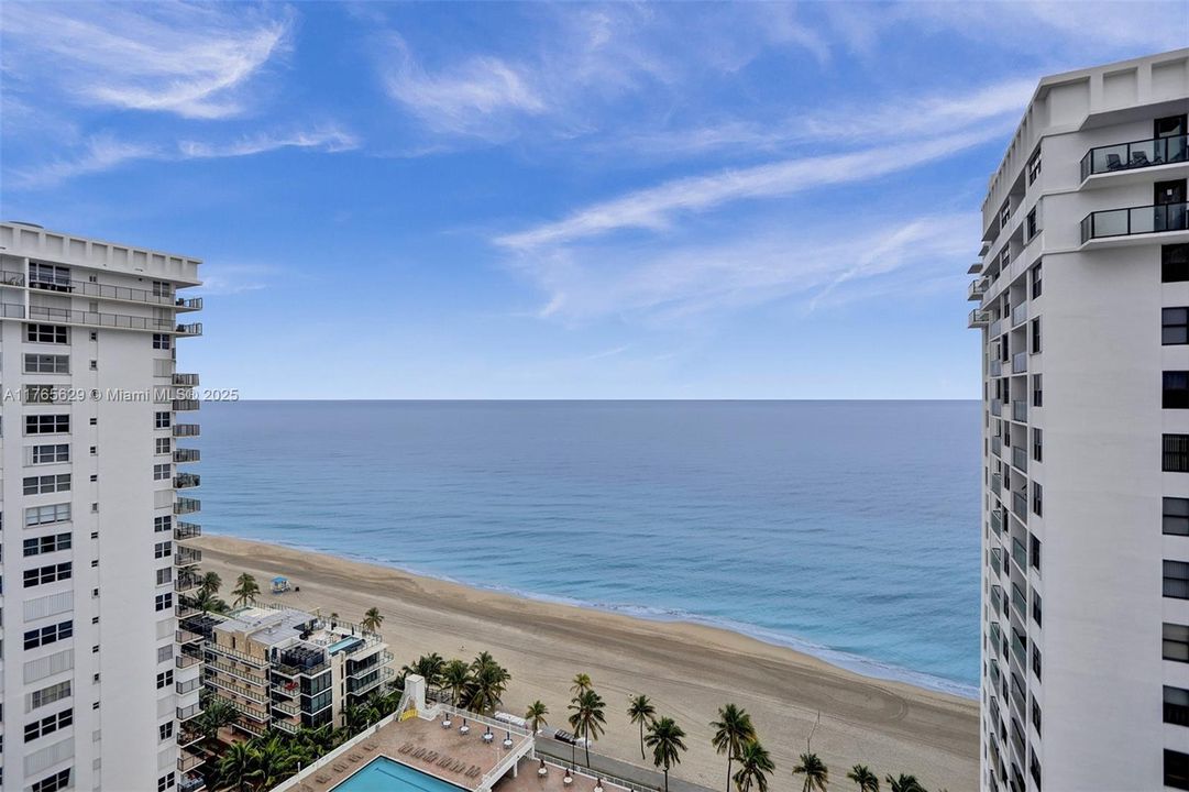 最近租的: $2,650 (1 贝兹, 1 浴室, 1000 平方英尺)