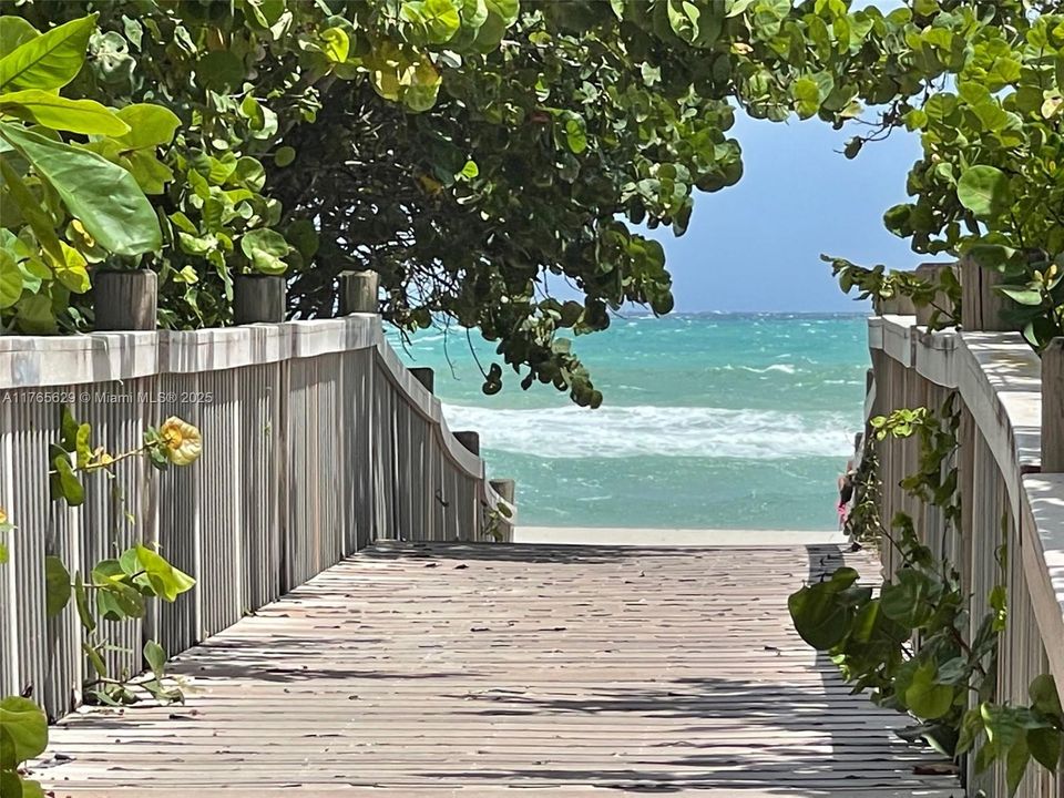 最近租的: $2,650 (1 贝兹, 1 浴室, 1000 平方英尺)