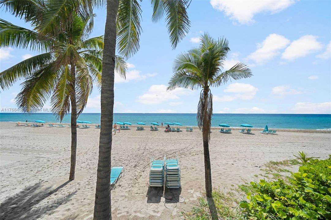 Enjoy the sunny Florida weather!