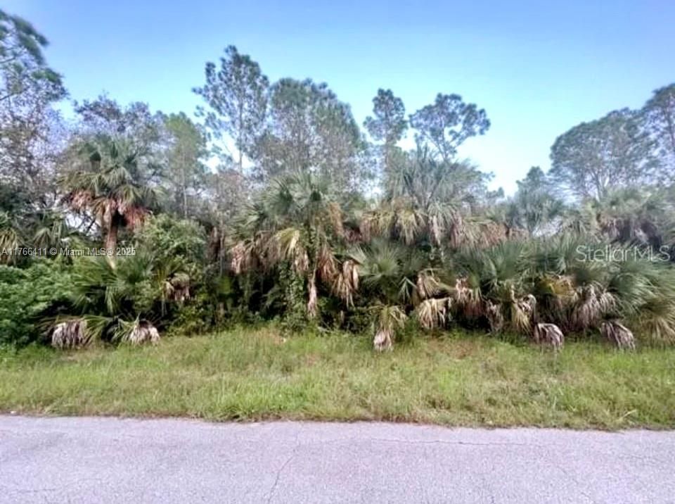 待售: $35,000 (0.50 acres)