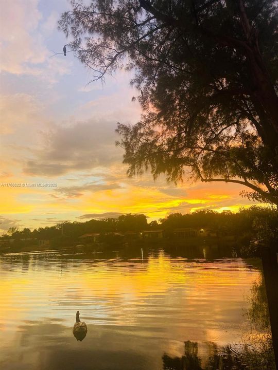 Recently Sold: $1,699,900 (5 beds, 3 baths, 2751 Square Feet)