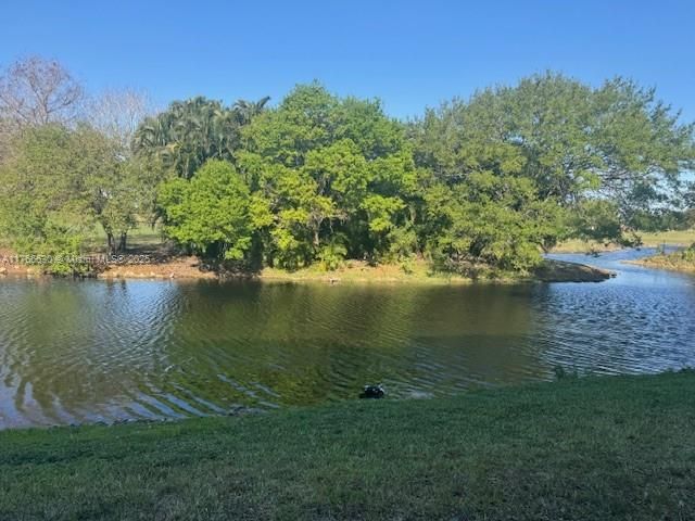 Недавно продано: $210,000 (1 спален, 1 ванн, 743 Квадратных фут)