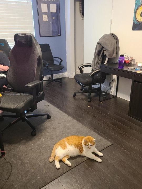 SECOND BEDROOM USE AS OFFICE