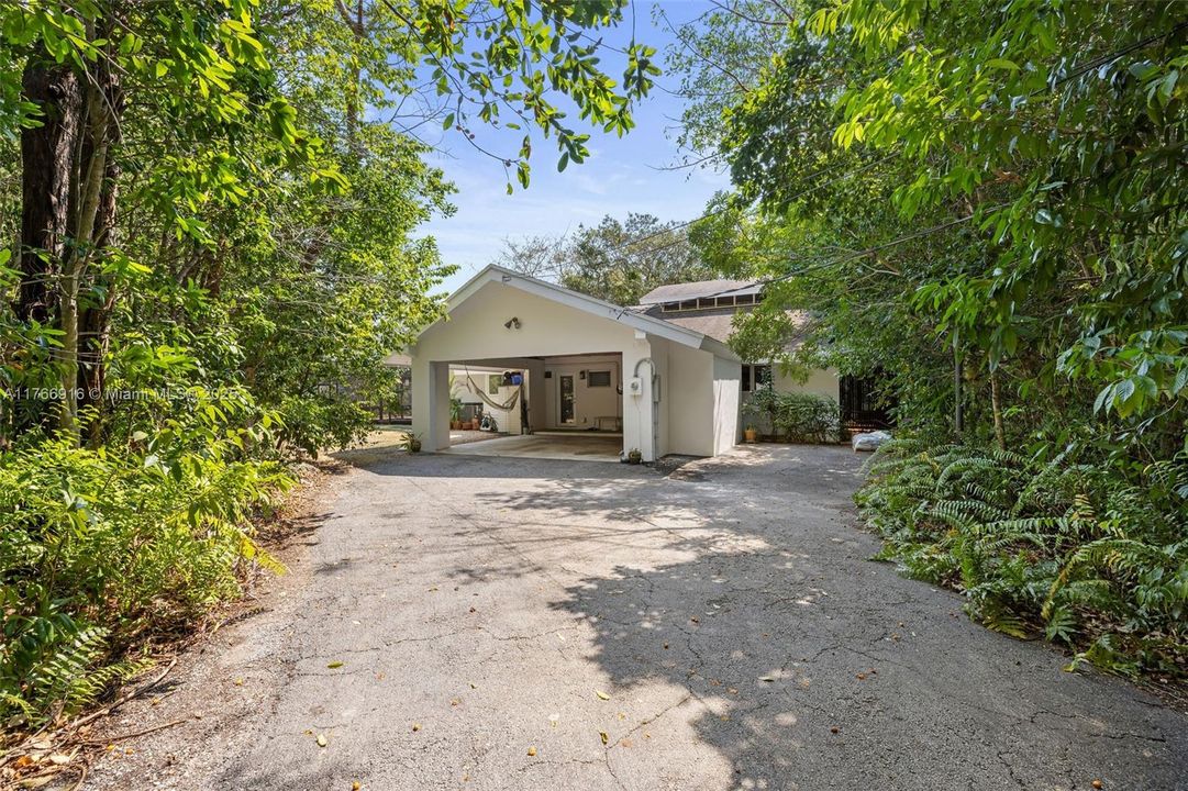 Driveway to Carport
