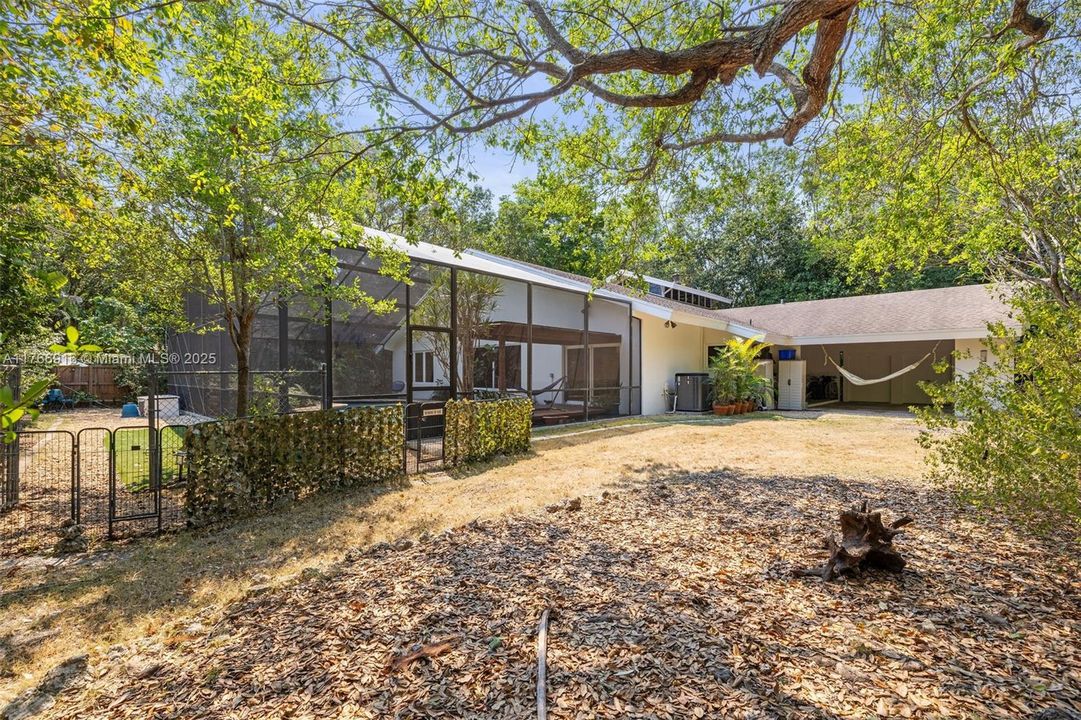 Part of the Side Yard