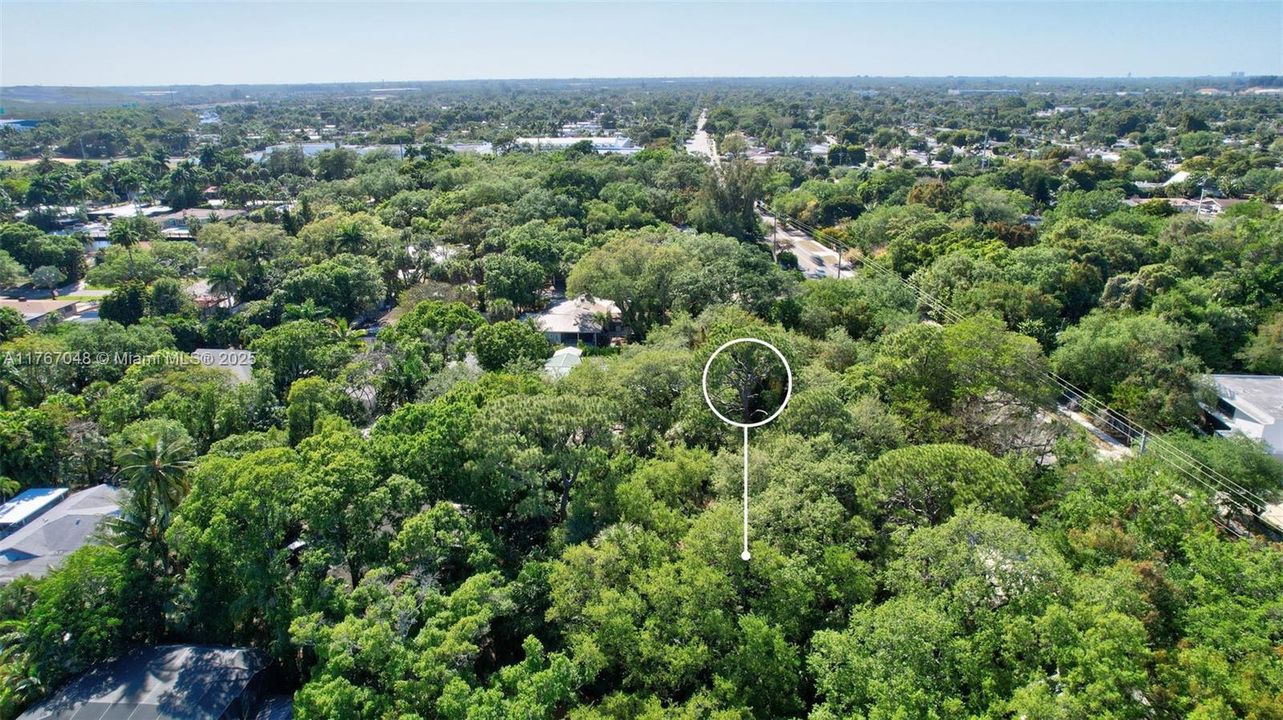 待售: $1,300,000 (4 贝兹, 2 浴室, 2193 平方英尺)