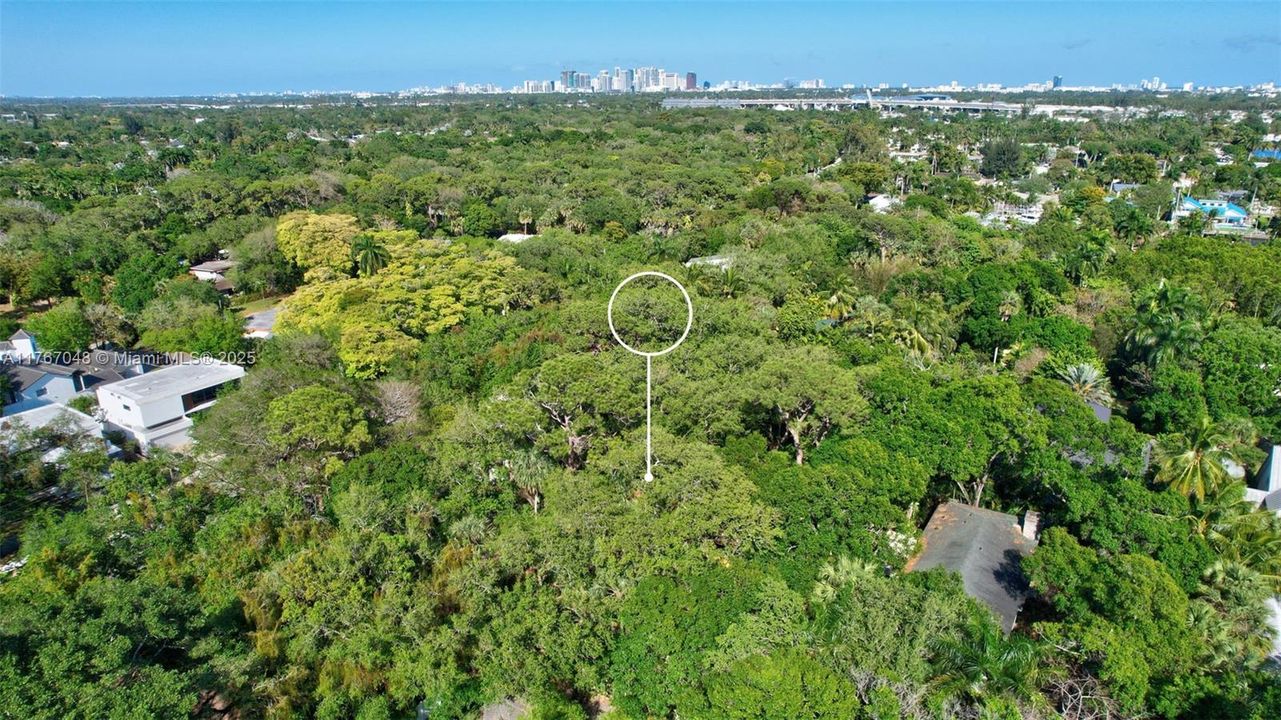 待售: $1,300,000 (4 贝兹, 2 浴室, 2193 平方英尺)