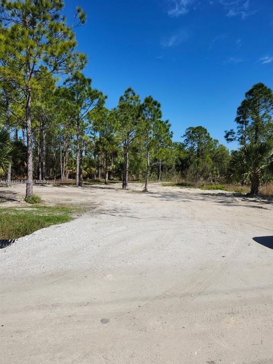 最近售出: $70,000 (1.25 acres)