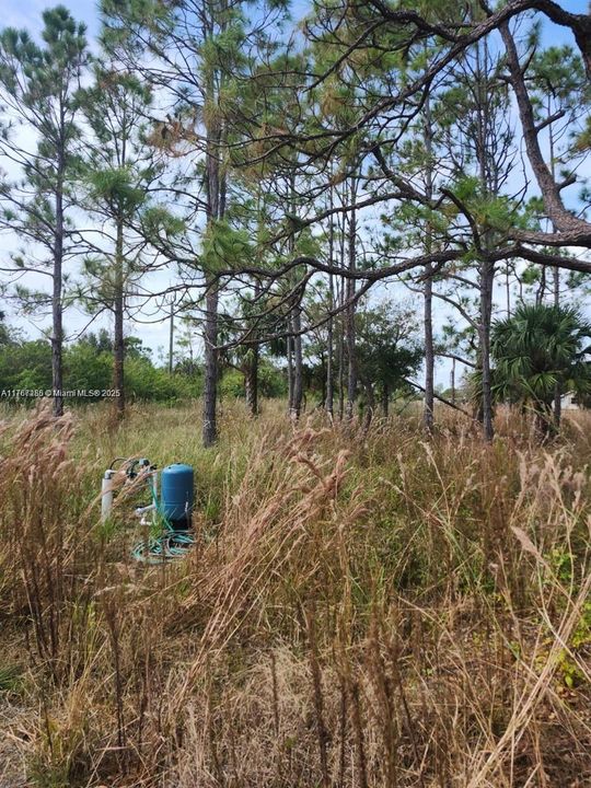 最近售出: $70,000 (1.25 acres)