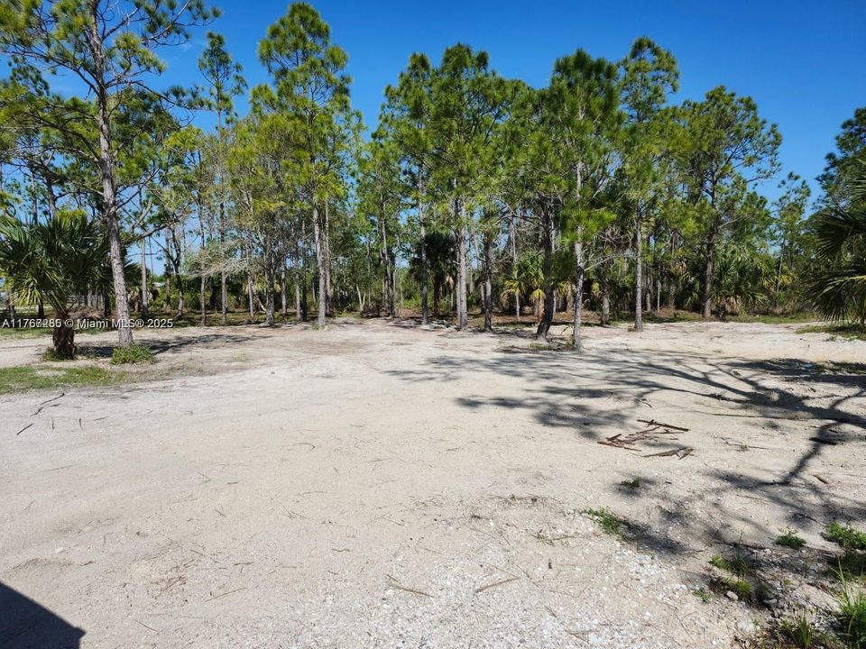 最近售出: $70,000 (1.25 acres)