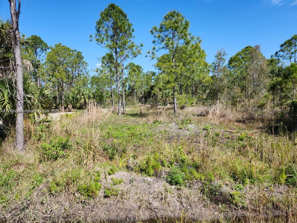 最近售出: $70,000 (1.25 acres)