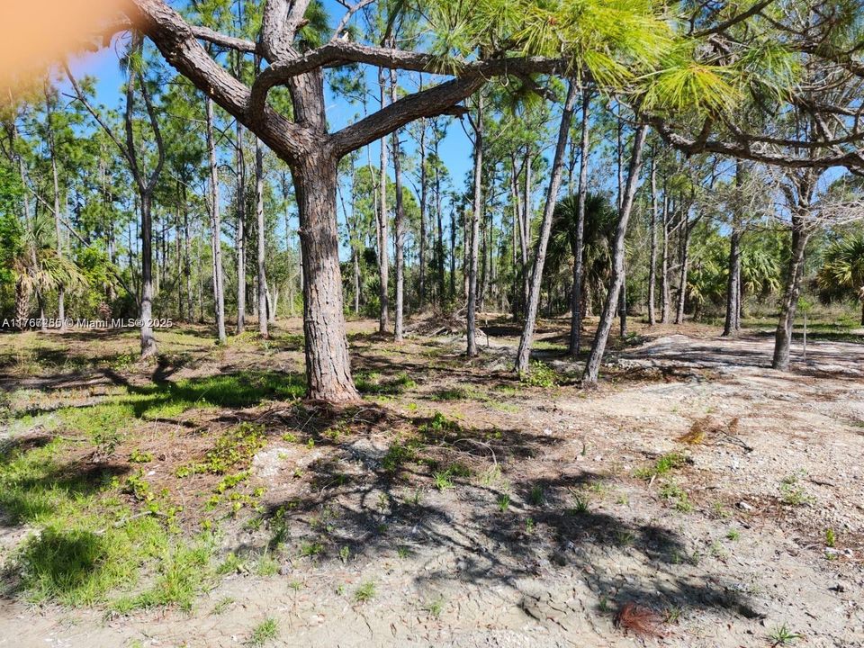 最近售出: $70,000 (1.25 acres)