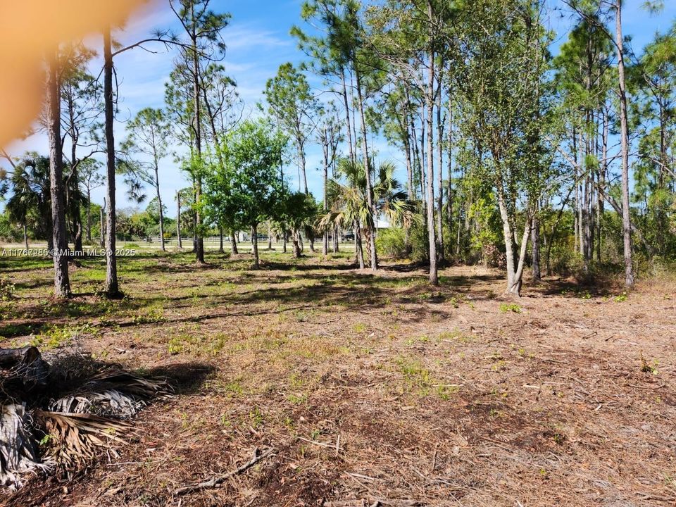 最近售出: $70,000 (1.25 acres)