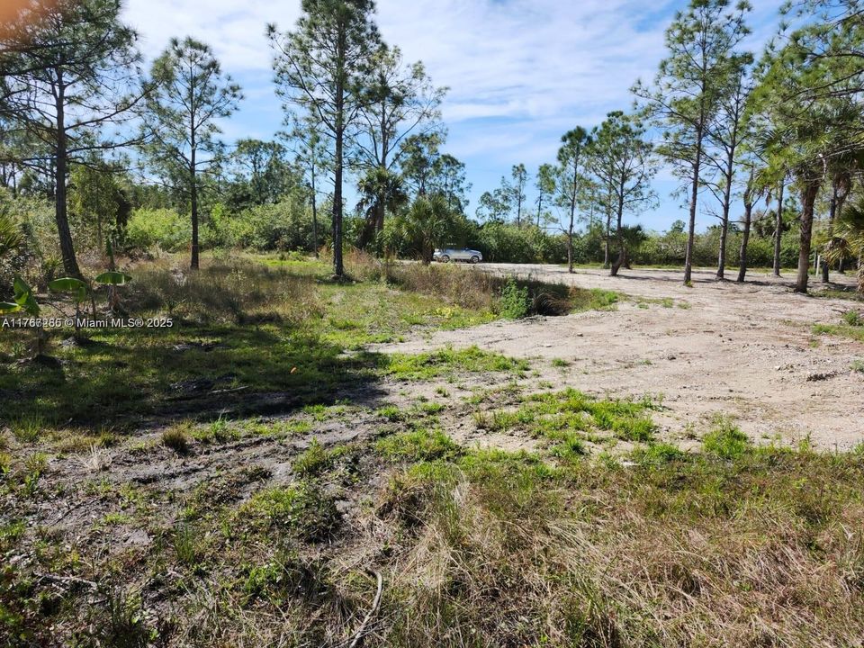 最近售出: $70,000 (1.25 acres)