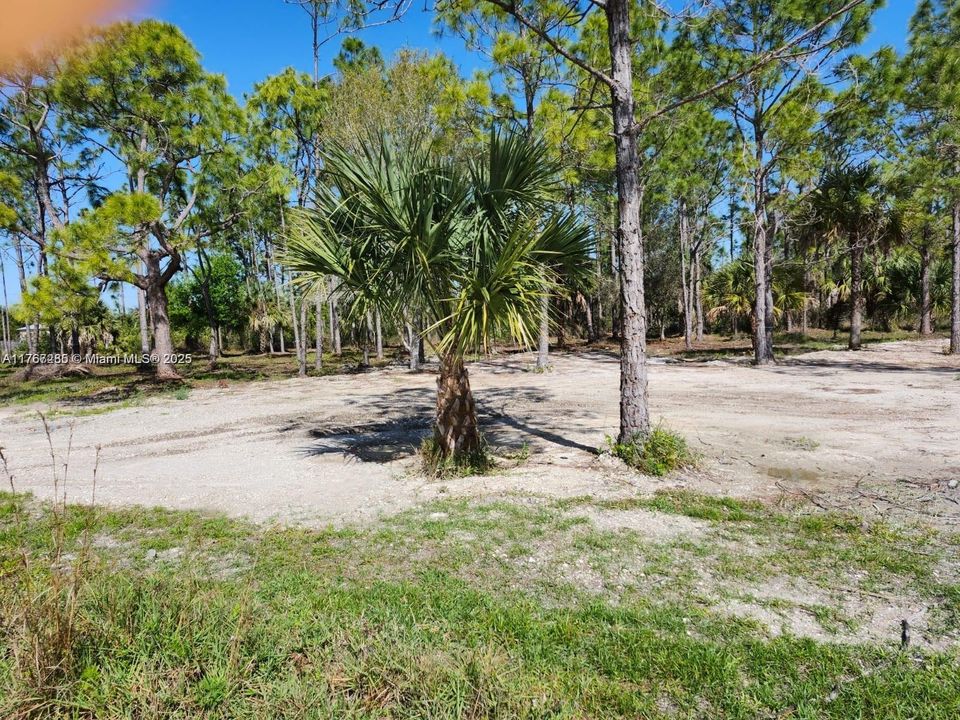 最近售出: $70,000 (1.25 acres)