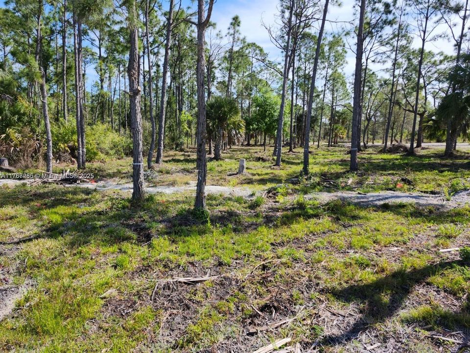 最近售出: $70,000 (1.25 acres)