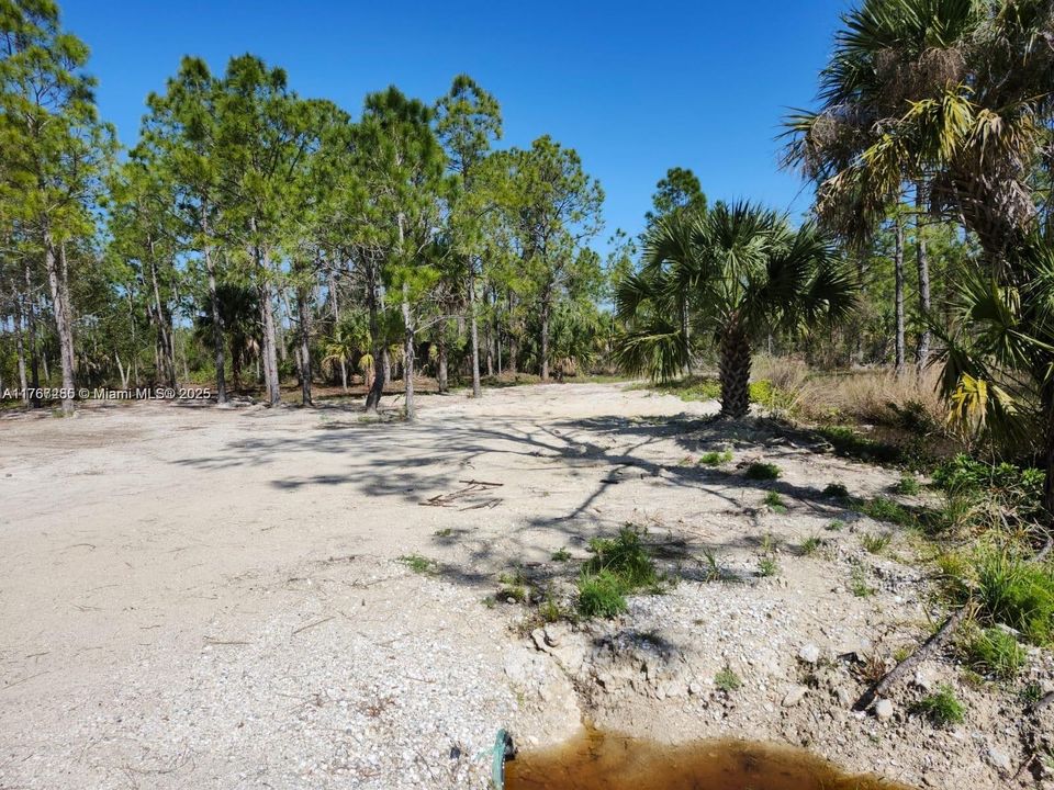 最近售出: $70,000 (1.25 acres)