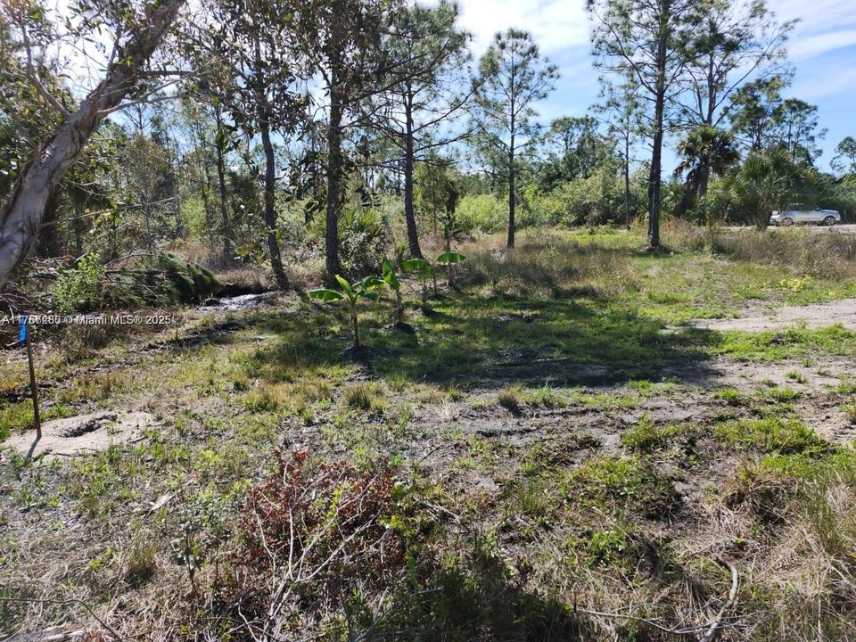 最近售出: $70,000 (1.25 acres)