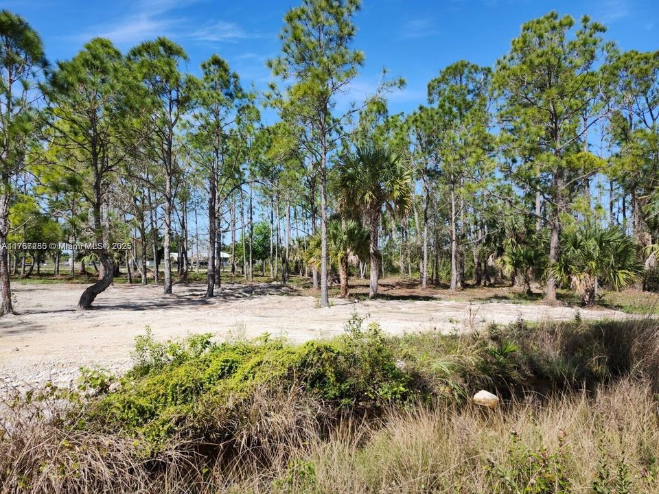 最近售出: $70,000 (1.25 acres)