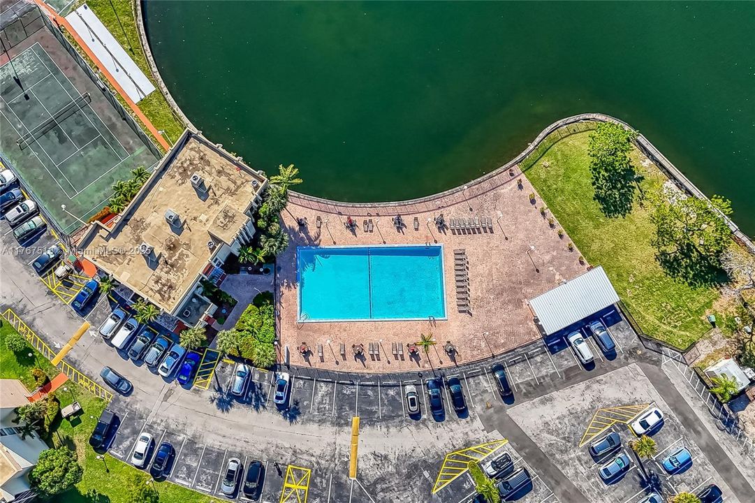 最近租的: $2,000 (1 贝兹, 1 浴室, 820 平方英尺)