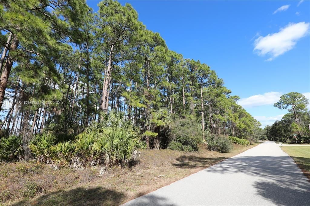 For Sale: $25,000 (0.23 acres)