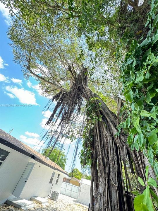 Recently Sold: $885,000 (3 beds, 2 baths, 1292 Square Feet)