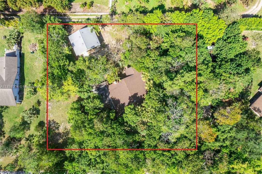 CANOPY OF TREES PROVIDE SHADE AND PRIVACY