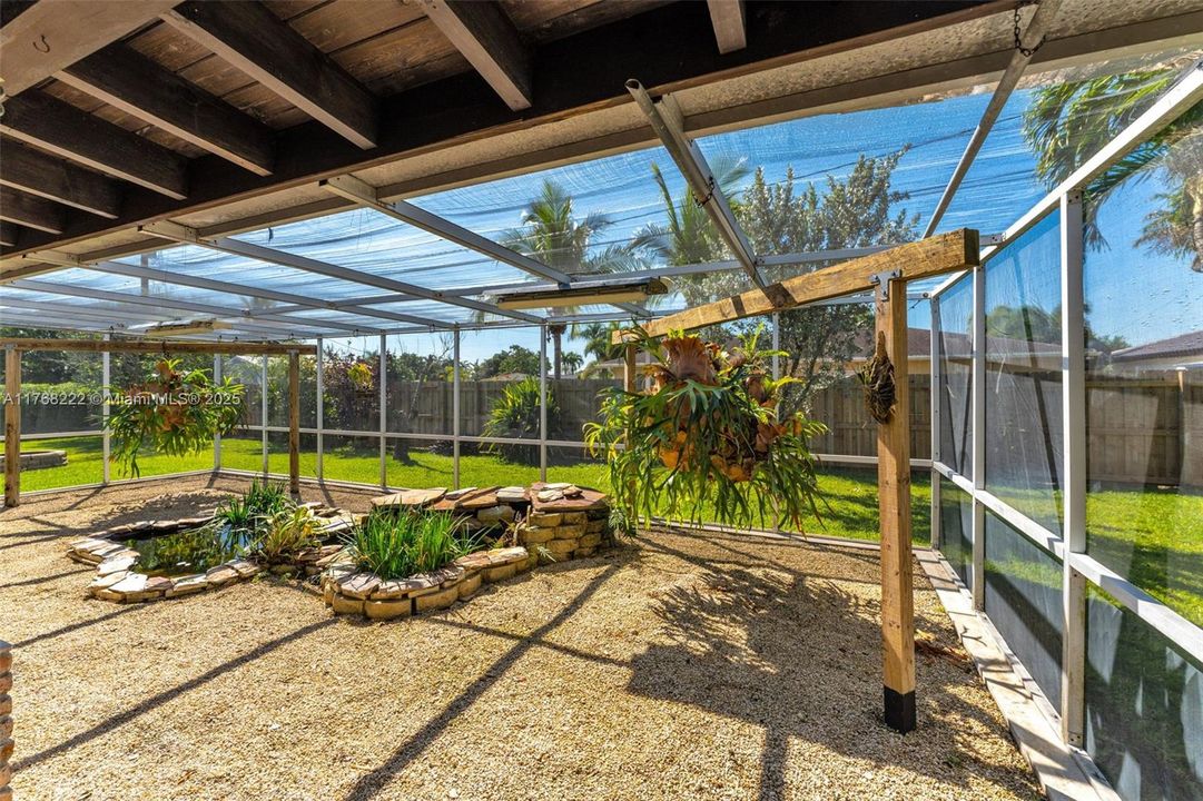 HUGE SCREENED PATIO WITH 2 HUGE STAG HORN FERNS SELLER IS LEAVING!