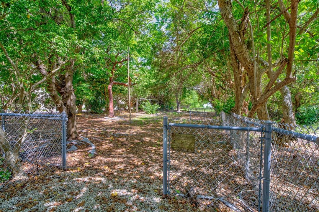 待售: $3,599,000 (0 贝兹, 0 浴室, 0 平方英尺)