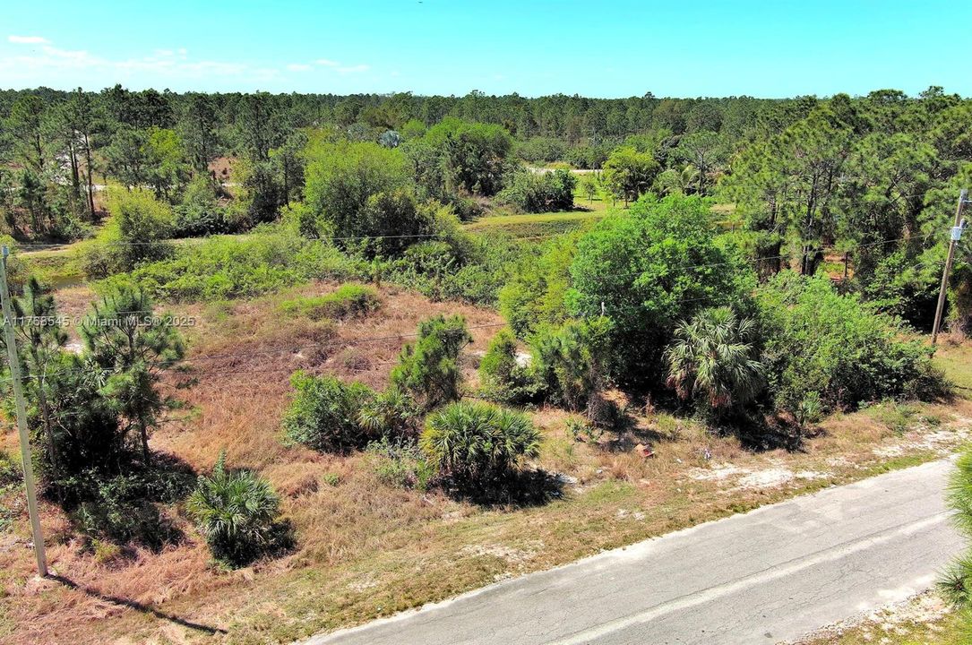 最近售出: $31,000 (0.31 acres)