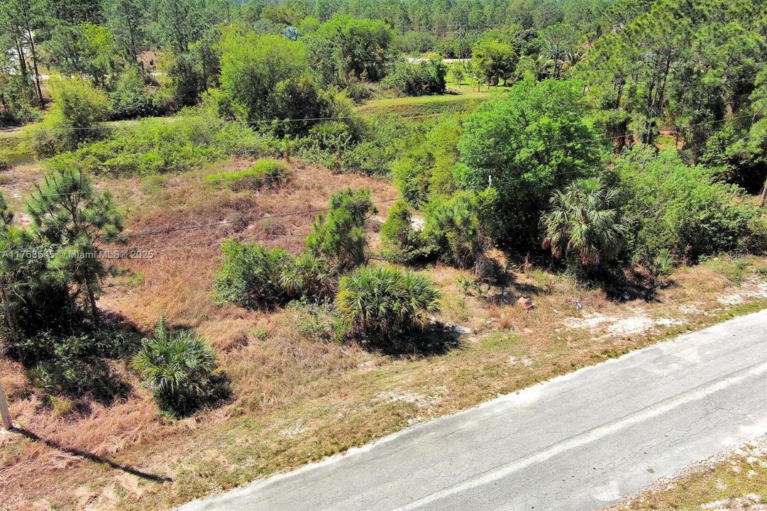 最近售出: $31,000 (0.31 acres)